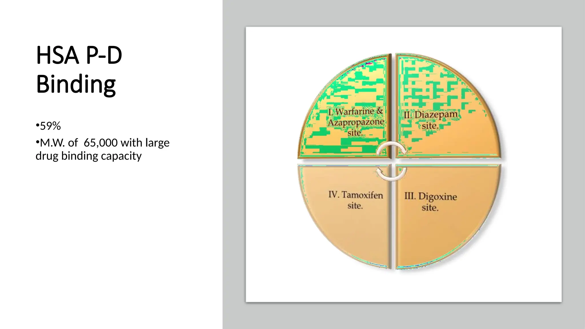HSA P-D
Binding
•59%
•M.W. of 65,000 with large
drug binding capacity
 