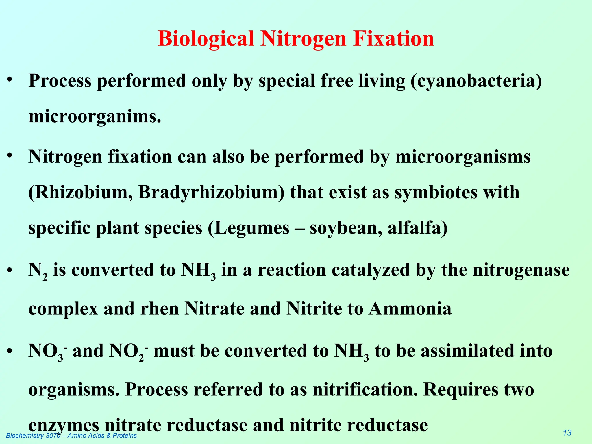 Biological Nitrogen Fixation
• Process performed only by special free living (cyanobacteria)
microorganims.
• Nitrogen fixation can also be performed by microorganisms
(Rhizobium, Bradyrhizobium) that exist as symbiotes with
specific plant species (Legumes – soybean, alfalfa)
• N2 is converted to NH3 in a reaction catalyzed by the nitrogenase
complex and rhen Nitrate and Nitrite to Ammonia
• NO3
-
and NO2
-
must be converted to NH3 to be assimilated into
organisms. Process referred to as nitrification. Requires two
enzymes nitrate reductase and nitrite reductase
Biochemistry 3070 – Amino Acids & Proteins 13
 