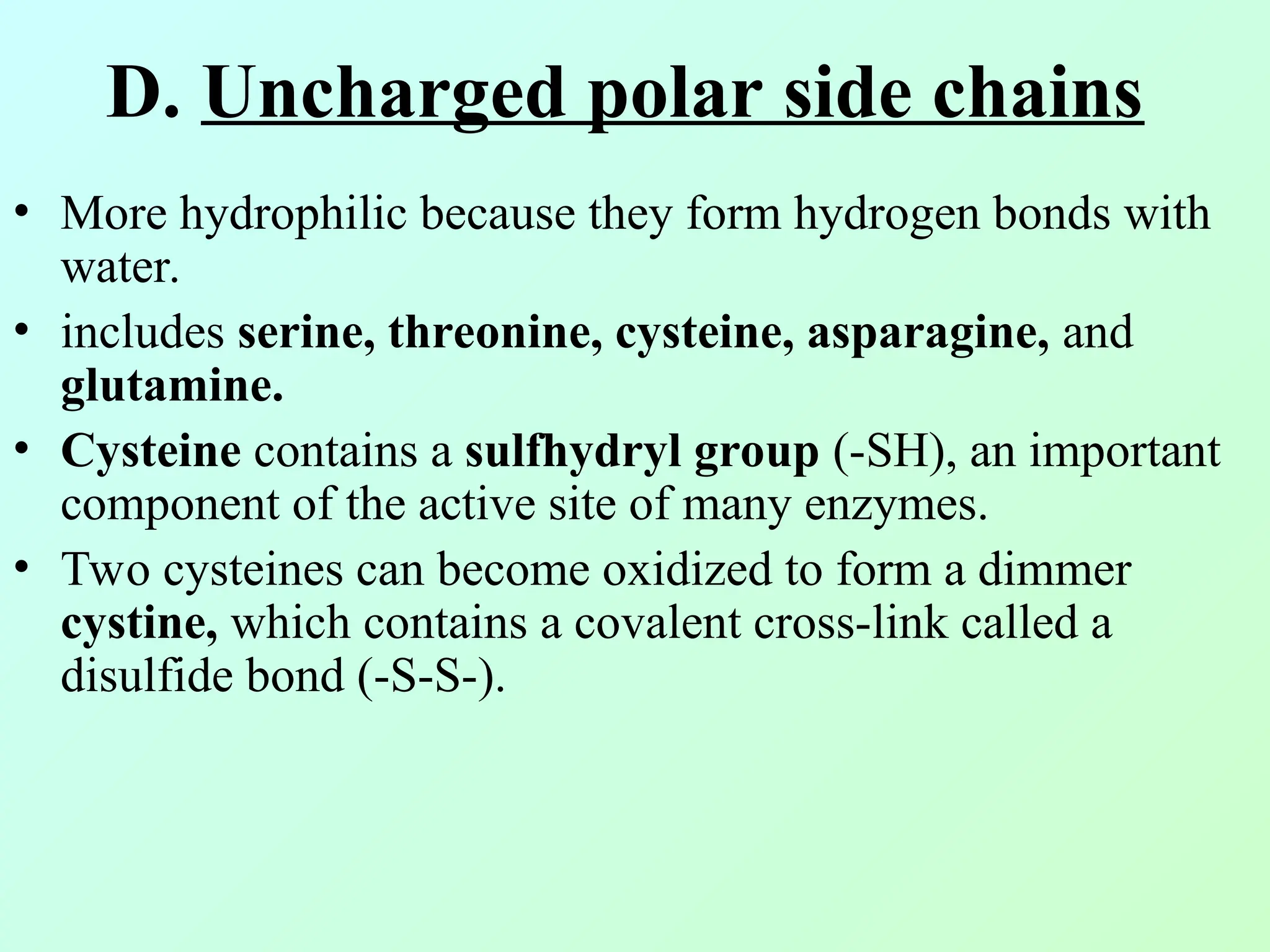 D. Uncharged polar side chains
• More hydrophilic because they form hydrogen bonds with
water.
• includes serine, threonine, cysteine, asparagine, and
glutamine.
• Cysteine contains a sulfhydryl group (-SH), an important
component of the active site of many enzymes.
• Two cysteines can become oxidized to form a dimmer
cystine, which contains a covalent cross-link called a
disulfide bond (-S-S-).
 