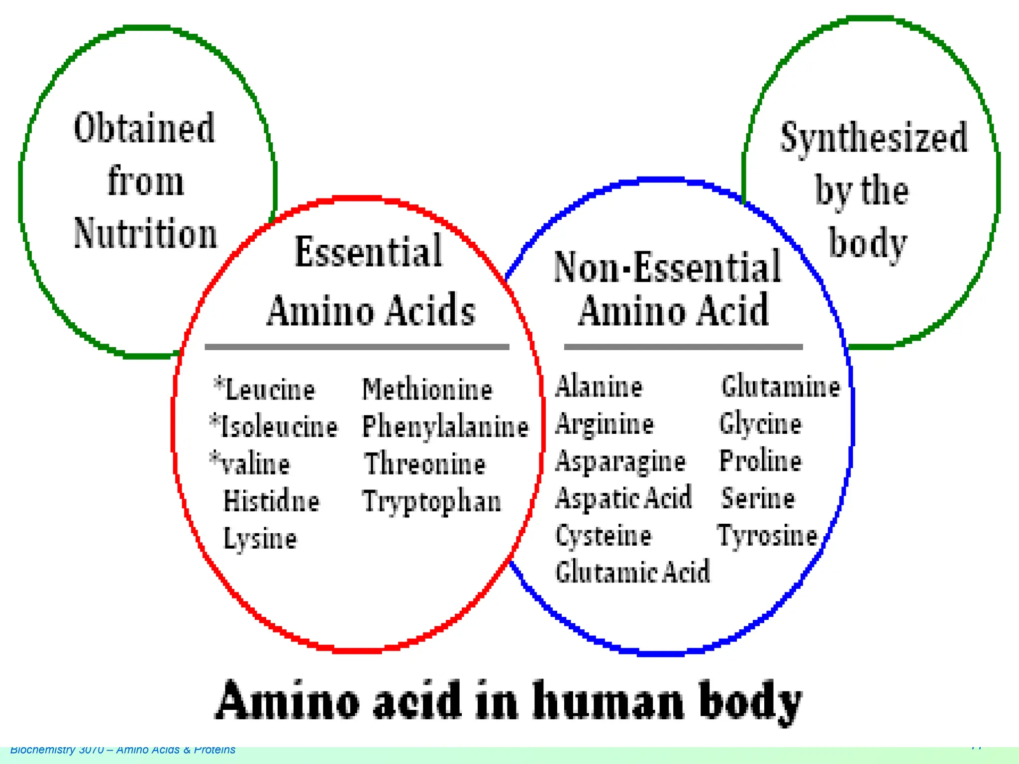 Biochemistry 3070 – Amino Acids & Proteins 41
 