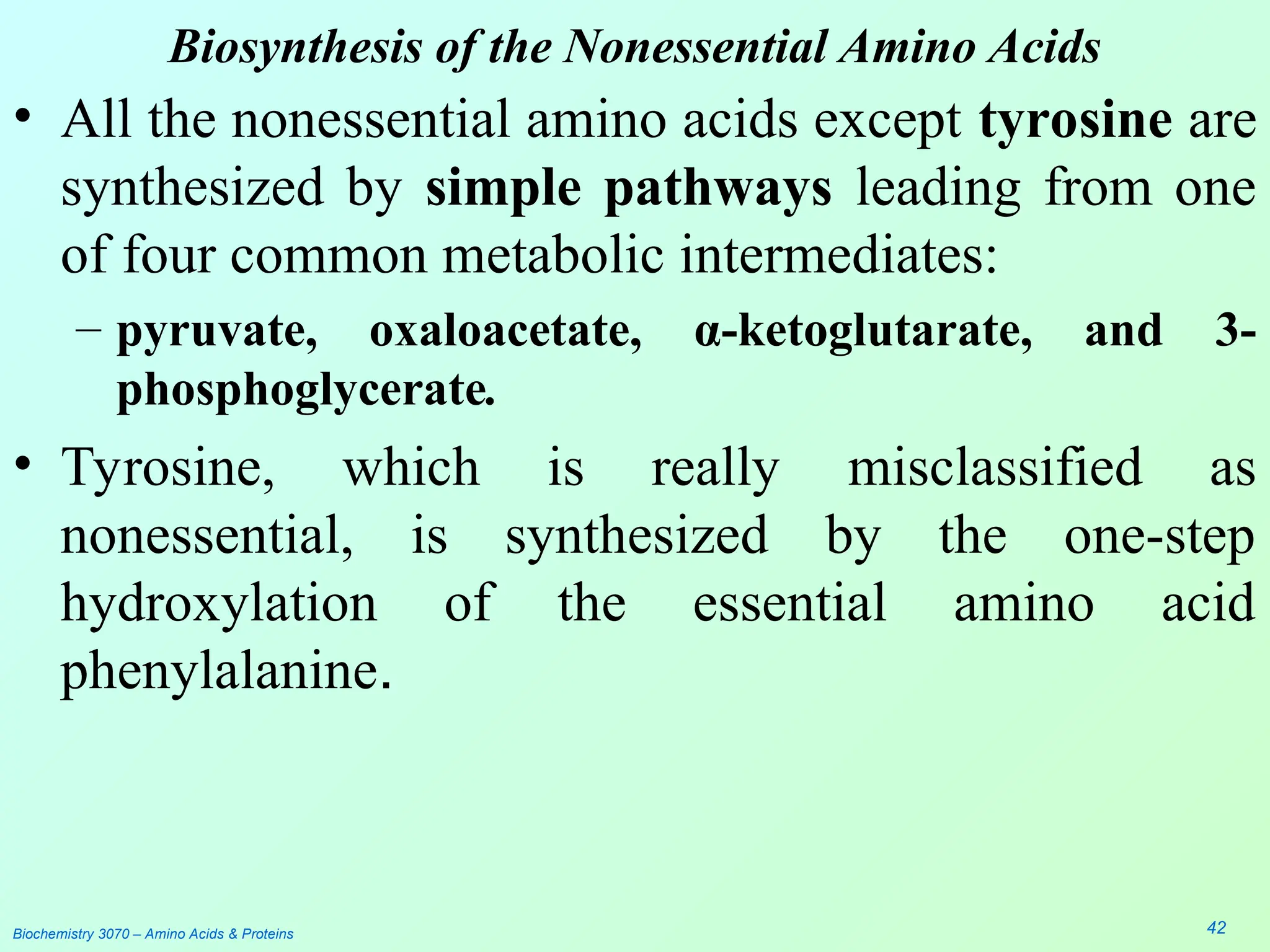 Biosynthesis of the Nonessential Amino Acids
• All the nonessential amino acids except tyrosine are
synthesized by simple pathways leading from one
of four common metabolic intermediates:
– pyruvate, oxaloacetate, α-ketoglutarate, and 3-
phosphoglycerate.
• Tyrosine, which is really misclassified as
nonessential, is synthesized by the one-step
hydroxylation of the essential amino acid
phenylalanine.
Biochemistry 3070 – Amino Acids & Proteins 42
 