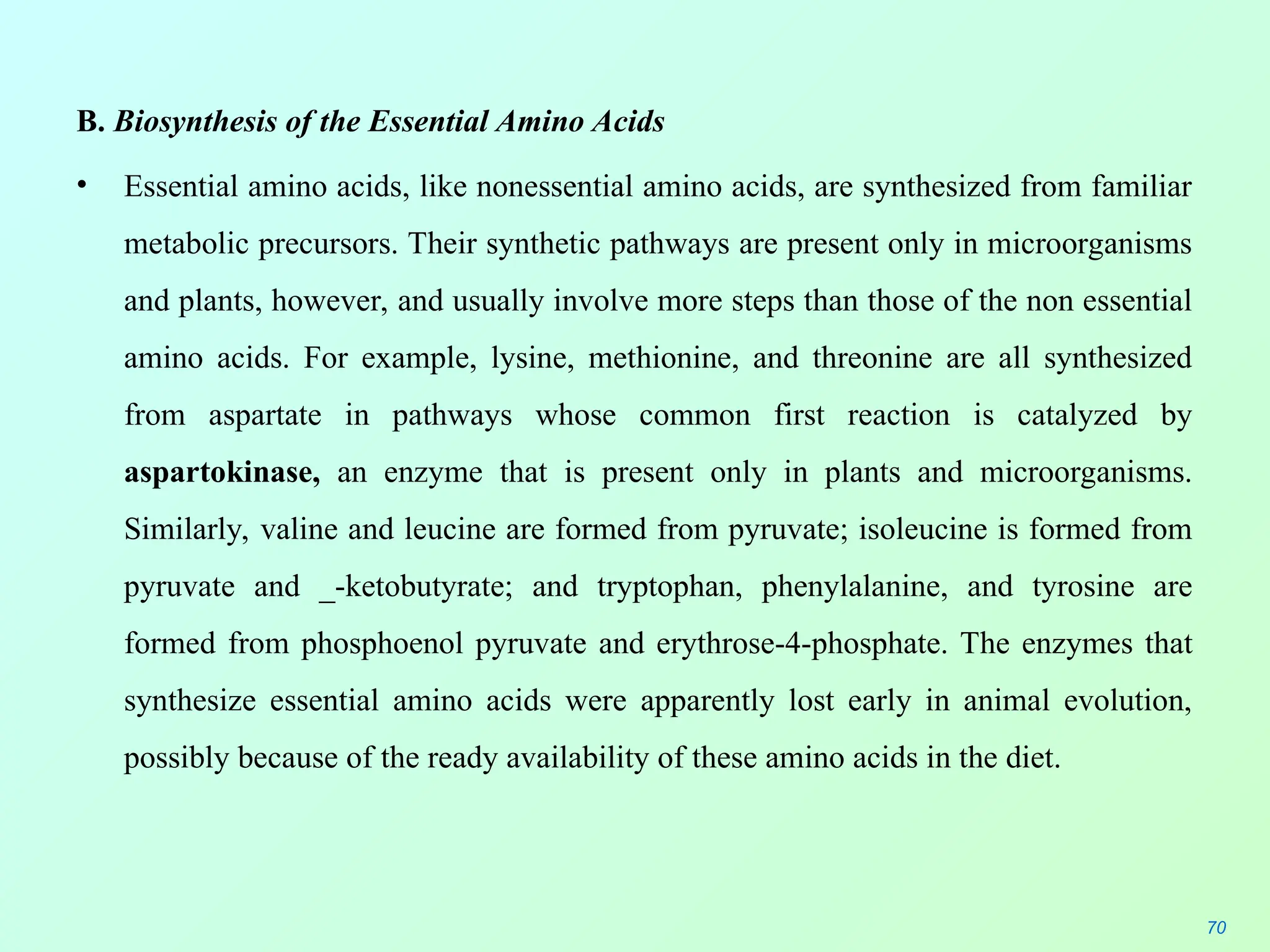 B. Biosynthesis of the Essential Amino Acids
• Essential amino acids, like nonessential amino acids, are synthesized from familiar
metabolic precursors. Their synthetic pathways are present only in microorganisms
and plants, however, and usually involve more steps than those of the non essential
amino acids. For example, lysine, methionine, and threonine are all synthesized
from aspartate in pathways whose common first reaction is catalyzed by
aspartokinase, an enzyme that is present only in plants and microorganisms.
Similarly, valine and leucine are formed from pyruvate; isoleucine is formed from
pyruvate and _-ketobutyrate; and tryptophan, phenylalanine, and tyrosine are
formed from phosphoenol pyruvate and erythrose-4-phosphate. The enzymes that
synthesize essential amino acids were apparently lost early in animal evolution,
possibly because of the ready availability of these amino acids in the diet.
70
 