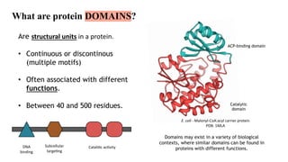 Protein Domain Graph An Overview to Protein bioinformatics | PDF