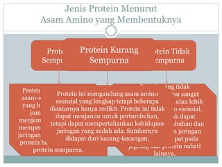 Jenis Protein Menurut
Asam Amino yang Membentuknya
Protein
Sempurna
Protein Tidak
Sempurna
Protein yang mengandung
asam-asam amino esensial
yang baik macam maupun
jumlahnya, sehingga
menjamin pertumbuhan dan
mempertahankan kehidupan
jaringan yang ada. Umumnya
protein hewani meruapakan
protein sempurna.
Protein yang tidak
mengandung atau sangat
sedikit berisi satu atau lebih
asam-asam amino esensial.
Protein ini tidak dapat
menjamin pertumbuhan dan
mempertahankan jaringan
yang ada. Terdapat pada
jagumg dan protein nabati
lainnya.
Protein Kurang
Sempurna
Protein ini mengandung asam amino
esensial yang lengkap tetapi beberapa
diantarnya hanya sedikit. Protein ini tidak
dapat menjamin untuk pertumbuhan,
tetapi dapat mempertahankan kehidupan
jaringan yang sudah ada. Sumbernya
didapat dari kacang-kacangan.
 