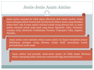Jenis-Jenis Asam Amino
Asam amino esensial ini tidak dapat dibentuk oleh tubuh sendiri, tetapi
harus disuplai dalam bentuk jadi (performed) dalam menu yang dimakan
sehari-hari. Ada 8 asam amino esensial untuk orang dewasa dan 10 asam
amino esensial untuk anak-anak yang harus dipenuhi. yaitu: Isoleusin,
Leusian, Lisin, Metionin, Fenilalanin, Treonin, Triptopan, Valin, Arginin,
Histidin.
Asam amino semi esensial artinya asam amino ini dapat menjamin proses
kehidupan jaringan orang dewasa, tetapi tidak mencukupi untuk
pertumbuhan anak-anak.
Asam amino non-esensial, asam-asam amino ini tidak dapat disintesa
tubuh sepanjang bahan dasarnya memenuhi bagi pertumbuhannya.
 