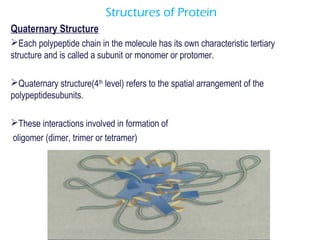 Protein bph | PPT