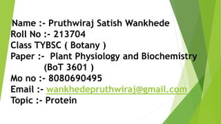 Name :- Pruthwiraj Satish Wankhede
Roll No :- 213704
Class TYBSC ( Botany )
Paper :- Plant Physiology and Biochemistry
(BoT 3601 )
Mo no :- 8080690495
Email :- wankhedepruthwiraj@gmail.com
Topic :- Protein
 