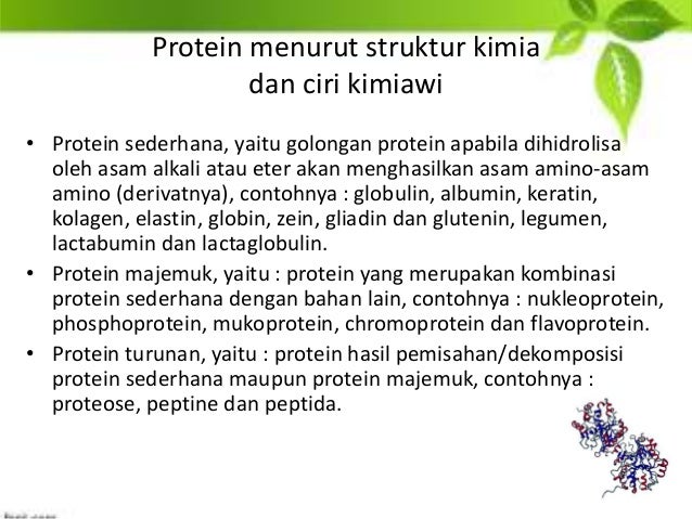 Protein biokimia