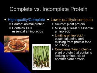 Complete vs. Incomplete Protein High-quality/Complete Source: animal protein Contains all 9 essential amino acids Lower-quality/Incomplete Source: plant protein Missing at least 1 essential amino acid Limiting amino acid  = essential amino acid missing from protein food or in body Complementary protein  = plant protein that contains limiting amino acid of another plant protein 