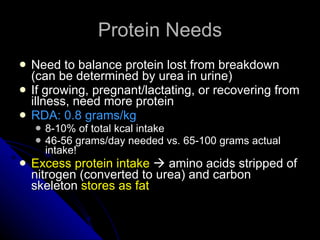 Protein Needs Need to balance protein lost from breakdown (can be determined by urea in urine) If growing, pregnant/lactating, or recovering from illness, need more protein RDA: 0.8 grams/kg 8-10% of total kcal intake 46-56 grams/day needed vs. 65-100 grams actual intake! Excess protein intake    amino acids stripped of nitrogen (converted to urea) and carbon skeleton  stores as fat 