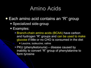 Amino Acids Each amino acid contains an “R” group Specialized side-group Examples: Branch-chain amino acids (BCAA)  have carbon and hydrogen “R” groups and  can be used to make glucose  if little or no CHO is consumed in the diet Leucine, isoleucine, valine PKU (phenylketonuria) – disease caused by inability to convert “R” group of phenylalanine to form tyrosine 
