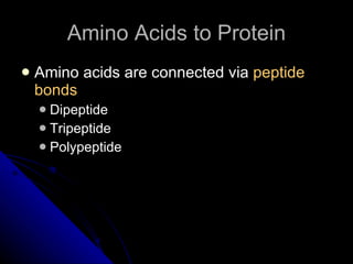 Amino Acids to Protein Amino acids are connected via  peptide bonds Dipeptide Tripeptide Polypeptide 