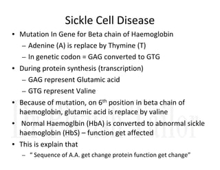 Sickle Cell Disease
• Mutation In Gene for Beta chain of Haemoglobin
– Adenine (A) is replace by Thymine (T)
– In genetic codon = GAG converted to GTG
• During protein synthesis (transcription)
– GAG represent Glutamic acid
– GTG represent Valine
• Because of mutation, on 6th position in beta chain of
haemoglobin, glutamic acid is replace by valine
• Normal Haemoglbin (HbA) is converted to abnormal sickle
haemoglobin (HbS) – function get affected
• This is explain that
– “ Sequence of A.A. get change protein function get change”
 