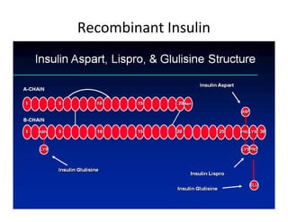 Recombinant Insulin
 