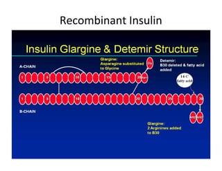 Recombinant Insulin
 