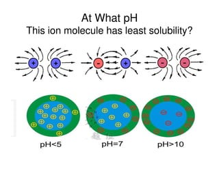At What pH
This ion molecule has least solubility?
 