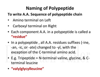 Naming of Polypeptide
To write A.A. Sequence of polypeptide chain
• Amino terminal on Left
• Carboxyl terminal on Right
• Each component A.A. in a polypeptide is called a
“residue”
“residue”
• In a polypeptide , all A.A. residues suffixes (-ine,
-an, -ic, or -ate) changed to -yl, with the
exception of the C-terminal amino acid.
• E.g. Tripeptide = N-terminal valine, glycine, & C-
terminal leucine
• “valylglycylleucine”
 