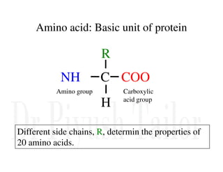 Amino acid: Basic unit of protein
Amino acid: Basic unit of protein
COO-
NH3+ C
R
H
Different side chains, R, determin the properties of
20 amino acids.
Amino group Carboxylic
acid group
 
