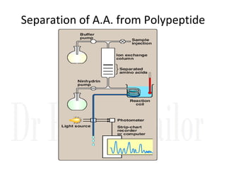 Separation of A.A. from Polypeptide
 