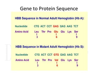 Gene to Protein Sequence
 