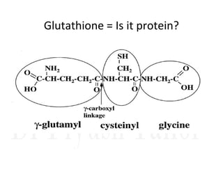 Glutathione = Is it protein?
 