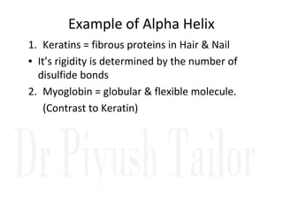 Example of Alpha Helix
1. Keratins = fibrous proteins in Hair & Nail
• It’s rigidity is determined by the number of
disulfide bonds
2. Myoglobin = globular & flexible molecule.
(Contrast to Keratin)
(Contrast to Keratin)
 