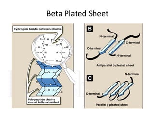 Beta Plated Sheet
 