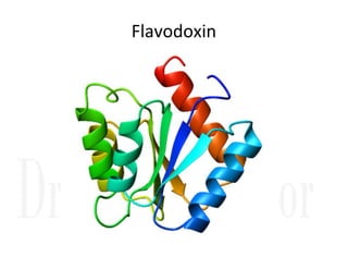 Flavodoxin
 