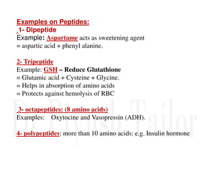 Examples on Peptides:
1- Dipeptide
Example: Aspartame acts as sweetening agent
= aspartic acid + phenyl alanine.
2- Tripeptide
Example: GSH – Reduce Glutathione
= Glutamic acid + Cysteine + Glycine.
= Helps in absorption of amino acids
= Helps in absorption of amino acids
= Protects against hemolysis of RBC
3- octapeptides: (8 amino acids)
Examples: Oxytocine and Vasopressin (ADH).
4- polypeptides: more than 10 amino acids: e.g. Insulin hormone
 