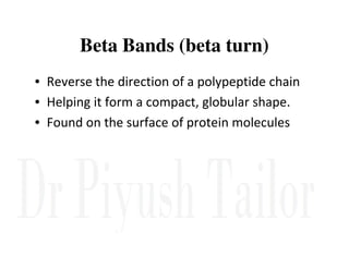 Beta Bands (beta turn)
• Reverse the direction of a polypeptide chain
• Helping it form a compact, globular shape.
• Found on the surface of protein molecules
 