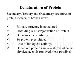 Denaturation of Protein
Secondary, Tertiary and Quaternary structures of
protein molecules broken down.
Primary structure is not altered
Unfolding & Disorganization of Protein
Unfolding & Disorganization of Protein
Decreases the solubility
So protein precipitated
Loss of biological activity.
Denatured proteins are re-natured when the
physical agent is removed. (less possible)
 