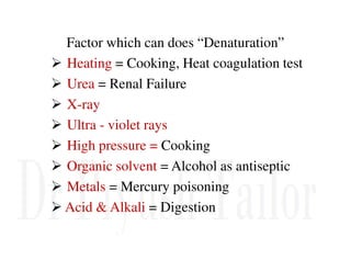 Factor which can does “Denaturation”
Heating = Cooking, Heat coagulation test
Urea = Renal Failure
X-ray
Ultra - violet rays
High pressure = Cooking
Organic solvent = Alcohol as antiseptic
Metals = Mercury poisoning
Acid & Alkali = Digestion
 