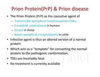 Prion Protein(PrP) & Prion disease
• The Prion Protein (PrP) as the causative agent of
– Transmissible Spongiform Encephalopathies (TSEs)
– Creutzfeldt Jakob disease in humans
– Scrapie in sheep
– Bovine spongiform encephalopathy in cattle
• Infective agent is thus an altered version of a normal
• Infective agent is thus an altered version of a normal
protein
• Which acts as a “template” for converting the normal
protein to the pathogenic conformation.
• TSEs are invariably fatal
• No treatment is currently available
 