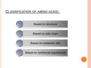 CLASSIFICATION OF AMINO ACIDS:
Based on structure
Based on side chain
Based on metabolic fate
Based on nutritional requirement
 