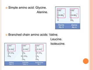  Simple amino acid: Glycine.
Alanine.
 Branched chain amino acids: Valine.
Leucine.
Isoleucine.
 