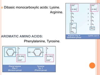  Dibasic monocarboxylic acids: Lysine.
Arginine.
AROMATIC AMINO ACIDS:
Phenylalanine, Tyrosine.
 