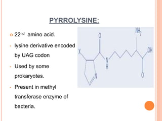 PYRROLYSINE:
 22nd amino acid.
• lysine derivative encoded
by UAG codon
• Used by some
prokaryotes.
• Present in methyl
transferase enzyme of
bacteria.
 