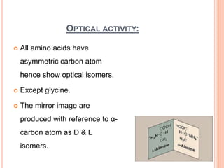 OPTICAL ACTIVITY:
 All amino acids have
asymmetric carbon atom
hence show optical isomers.
 Except glycine.
 The mirror image are
produced with reference to α-
carbon atom as D & L
isomers.
 