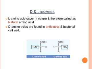 D & L ISOMERS
 L amino acid occur in nature & therefore called as
Natural amino acid
 D-amino acids are found in antibiotics & bacterial
cell wall.
 