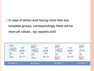  In case of amino acid having more than two
ionizable groups, correspondingly there will be
more pK values , eg: aspartic acid
 