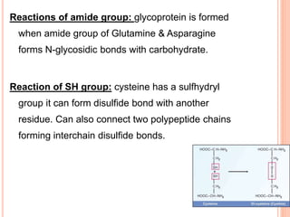 Reactions of amide group: glycoprotein is formed
when amide group of Glutamine & Asparagine
forms N-glycosidic bonds with carbohydrate.
Reaction of SH group: cysteine has a sulfhydryl
group it can form disulfide bond with another
residue. Can also connect two polypeptide chains
forming interchain disulfide bonds.
 