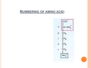 NUMBERING OF AMINO ACID:
 