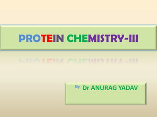 PROTEIN CHEMISTRY-III
By Dr ANURAG YADAV
 