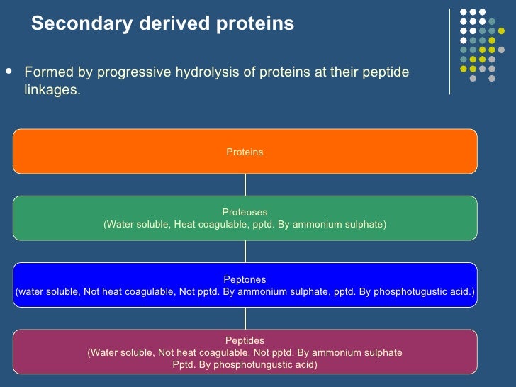 Protein Chemistry Bsc Nursing & Bpt