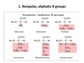 Protein chemis;lk;lj;lkjtry_Lecture 1 and 2.pptx