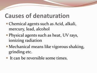 Causes of denaturation
 Chemical agents such as Acid, alkali,
mercury, lead, alcohol
 Physical agents such as heat, UV rays,
ionizing radiation
 Mechanical means like vigorous shaking,
grinding etc.
 It can be reversible some times.
 