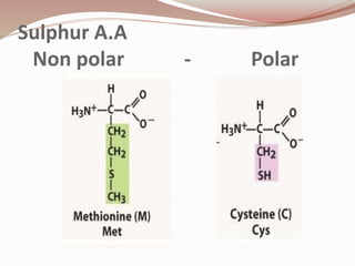 Sulphur A.A
Non polar - Polar
 