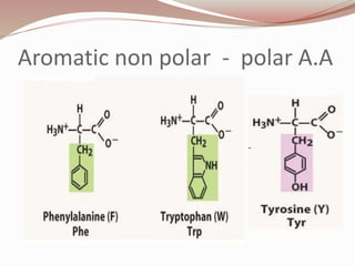 Aromatic non polar - polar A.A
 