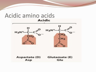 Acidic amino acids
 