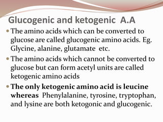 Glucogenic and ketogenic A.A
 The amino acids which can be converted to
glucose are called glucogenic amino acids. Eg.
Glycine, alanine, glutamate etc.
 The amino acids which cannot be converted to
glucose but can form acetyl units are called
ketogenic amino acids
 The only ketogenic amino acid is leucine
whereas Phenylalanine, tyrosine, tryptophan,
and lysine are both ketogonic and glucogenic.
 